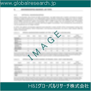 グローバルリサーチ調査資料のイメージ